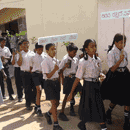 Environment Day