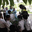Environment Day