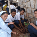 Environment Day